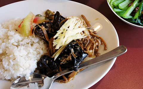 養顏美容! 會上癮的薏仁皮水餃,代代木上原的按田餃子店