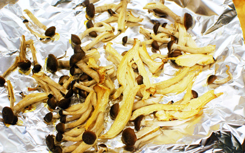 OL便當食譜「蘑菇鮭魚散壽司便當」