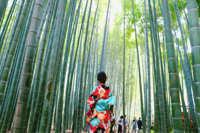 妳是哪種女孩子？揭露貓系女孩、犬系女孩的六大特徵F