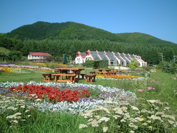 【北海道自由行】一整片粉紅色的山丘、芝櫻花季熱門的浪漫「童話村」