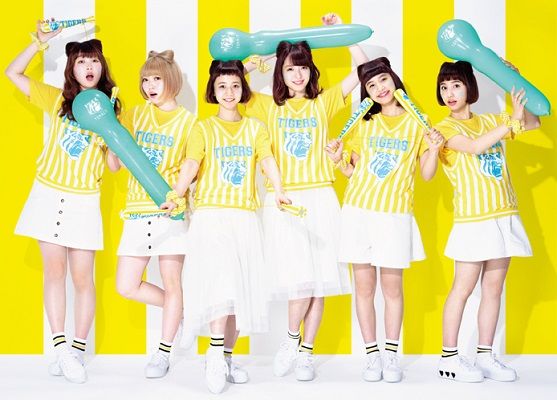 「鯉魚女子」「歐力公主」接下來就是、「TORACO」