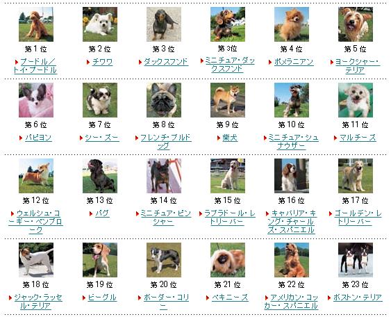 公布日本人氣犬種排行榜! 令人感興趣的第1名是……果然是那孩子!!