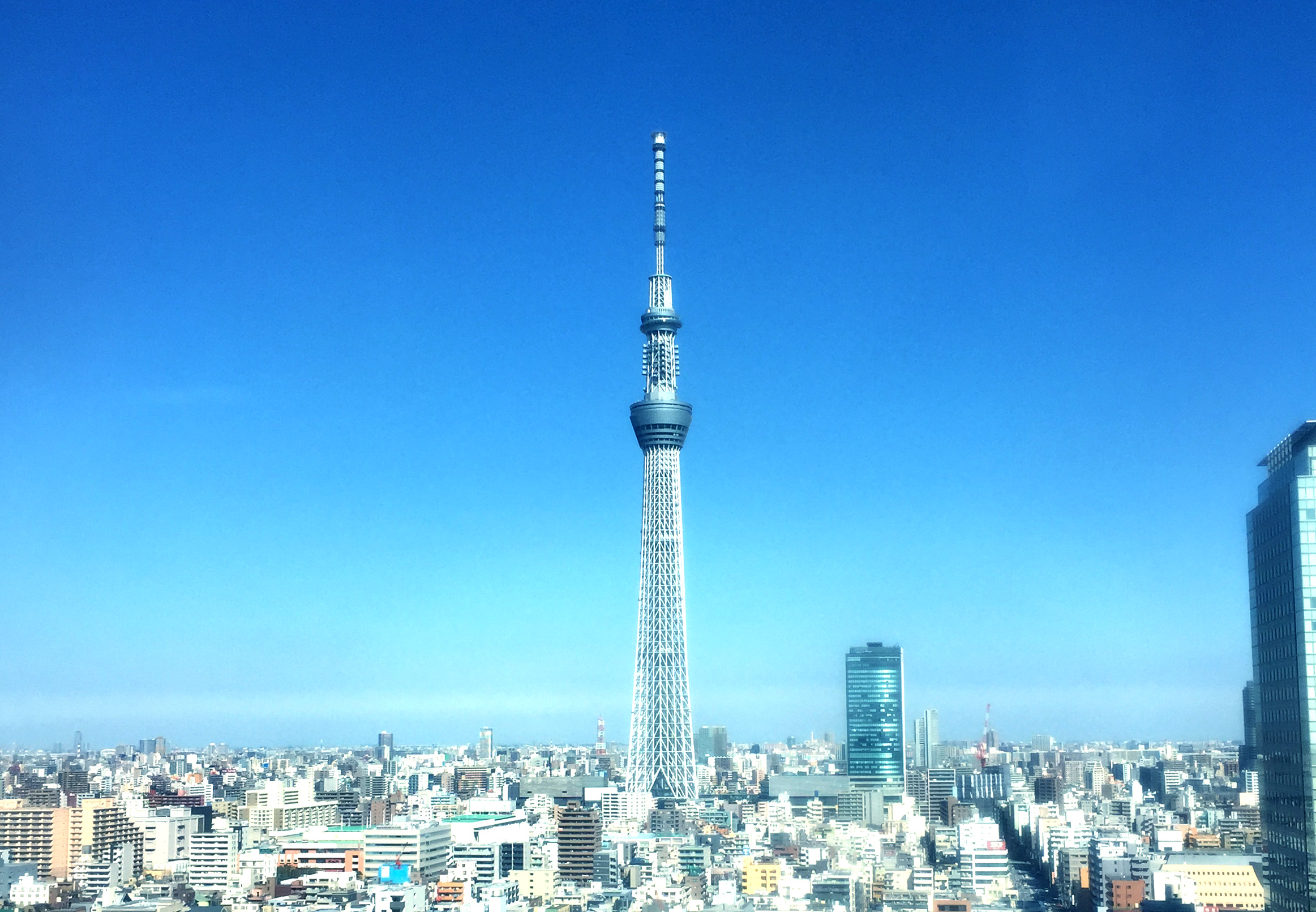 東京旅遊觀光名勝令人意想不到的玩法!「與眾不同」東京晴空塔「絕景地點」3精選