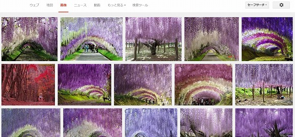 九州自由行 花季到來的北九州市 河內藤園 裡的藤花美不勝收 Twitter用戶們表示 很壯觀 這個很棒 Japaholic