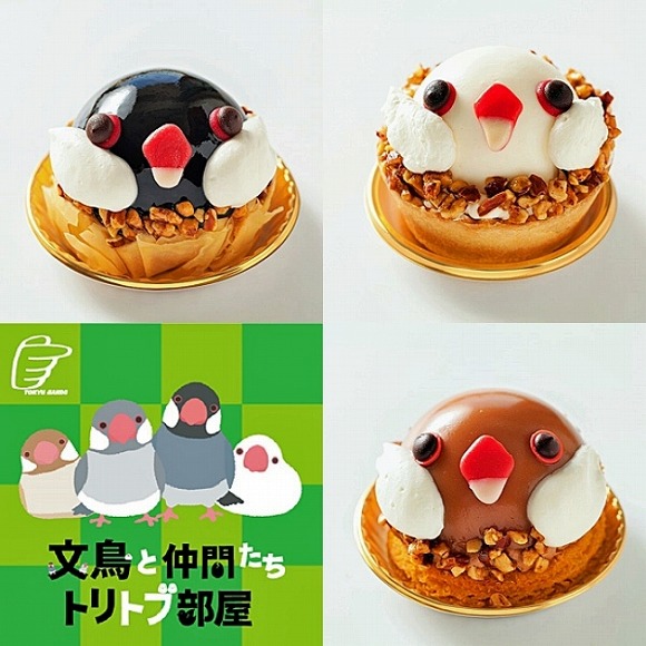下午茶推薦!小鳥咖啡廳的「文鳥蛋糕」正期間限定登場唷♪ 不要用圓滾滾的眼睛看我…會讓人捨不得吃!