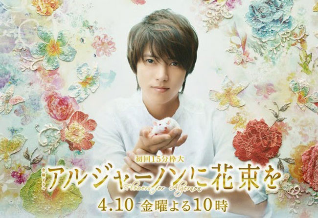 2015春季必看日劇 – 獻給阿爾吉儂的花束