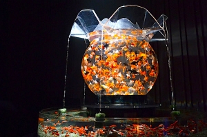 この夏は江戸の風情をしのびドリンク片手にアクアリウム