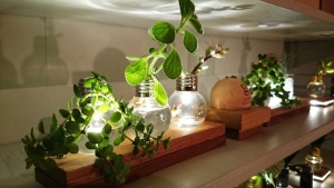 私たちの気持ちを穏やかにする、灯をデザインする雑貨たち