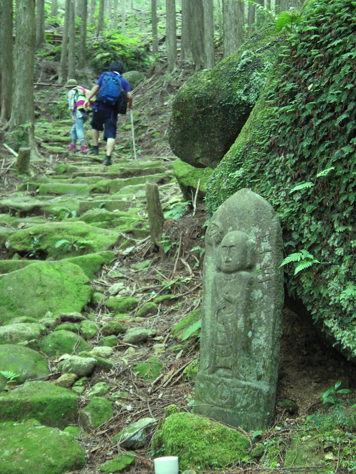 日本旅遊、最強能量景點!「熊野古道伊勢路」是日本第一的高規格朝聖之路?