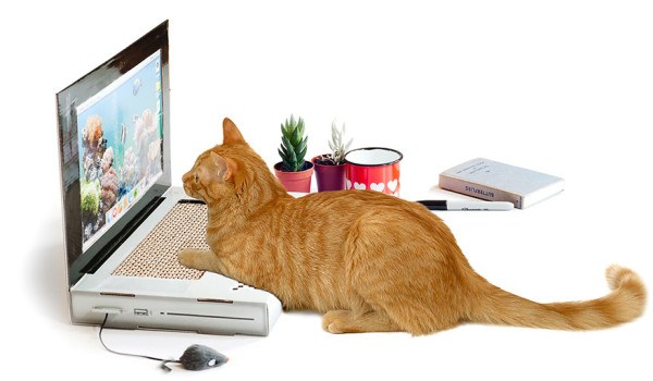 休想再來妨礙我! 專門對付喜歡佔據電腦的貓咪,貓抓板「Cat Scratch Laptop」令愛貓族期待不已!!!