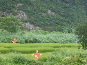 里山アートで話題の越後妻有『大地の芸術祭』で見つけた日本の“豊”