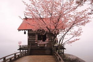 口耳相傳的熱門話題,日本“祈求戀情超靈驗”結緣景點