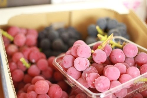 現在正值產季!好吃葡萄的分辨方法