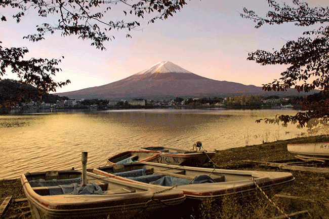 日本秋季美景介紹!河口湖之旅和一生中不能錯過的富士山美景