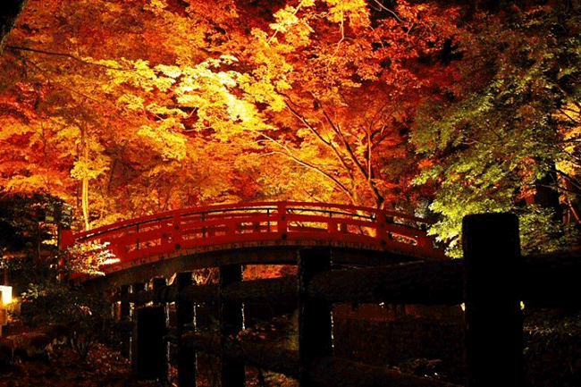 秋季京都賞味1日旅程!“達人級”的京都漫遊法(前篇)