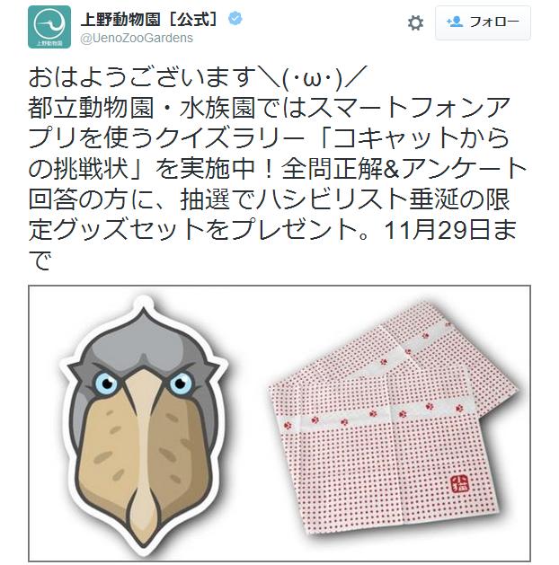 鯨頭鸛迷集合〜! 回答都立動物園・水族館的有獎徵答就可以得到「鯨頭鸛」限定商品喔喔喔!!