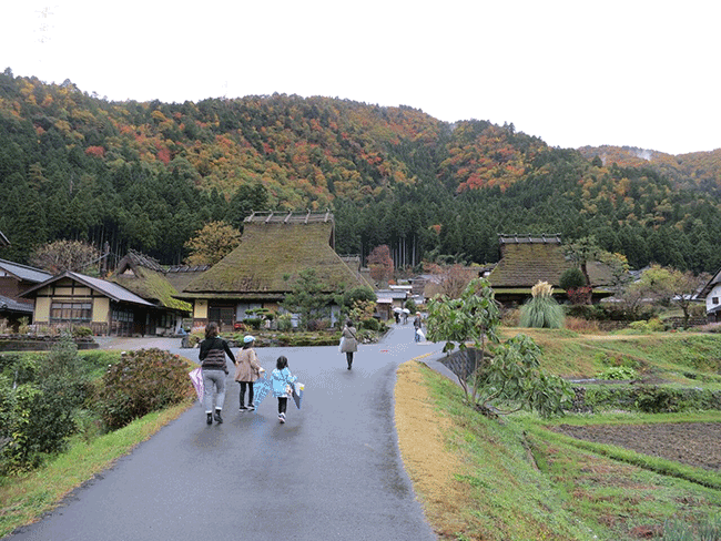 秋天 賞楓