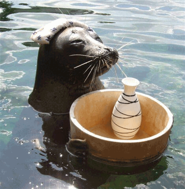 天氣冷,日本的動物也來泡湯!