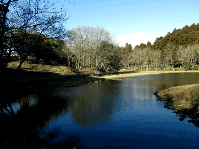 羅馬浴場