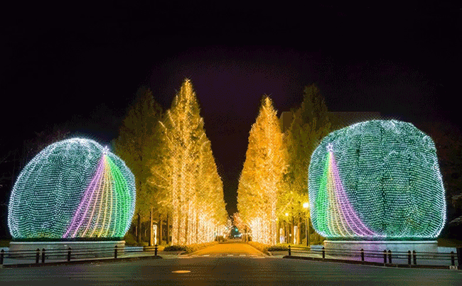 京都 聖誕