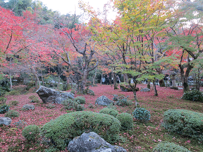 京都圓光寺