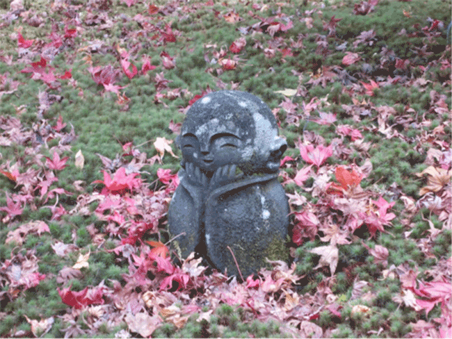 京都圓光寺