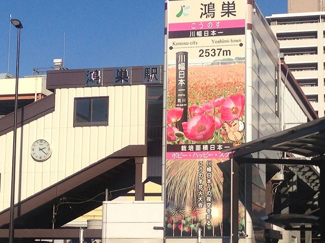 川幅烏龍麵