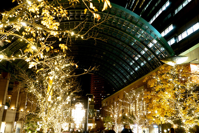 約使用了10萬盞燈泡的光亮的燈海於惠比壽GARDEN PLACE實施