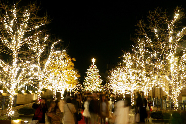 約使用了10萬盞燈泡的光亮的燈海於惠比壽GARDEN PLACE實施