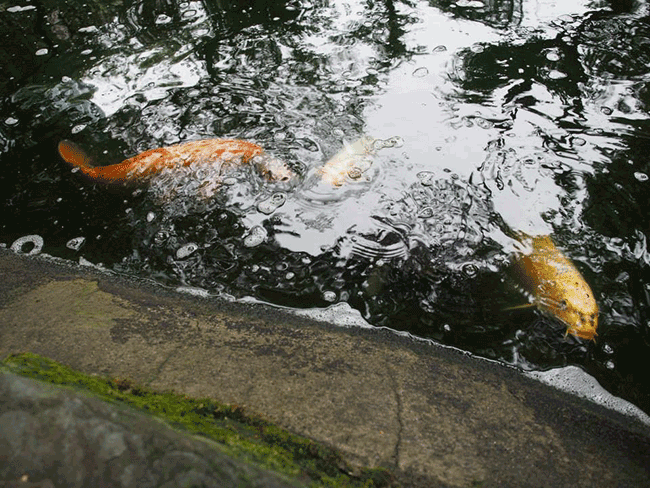 愛宕神社