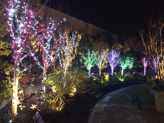 Namba Parks