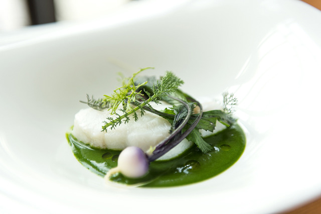 為了要傳達奈良的魅力，作為資訊傳播據點，「時之森」盛大開幕