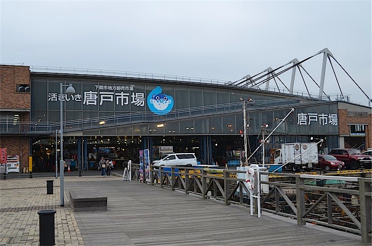 說到河豚就是下關!在山口縣下關「唐戶市場」裡輕鬆品嚐到河豚的魅力