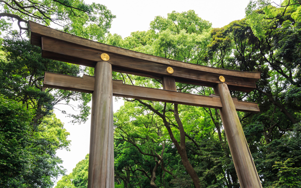 想要提升運氣?來神社之前的必看3大重點
