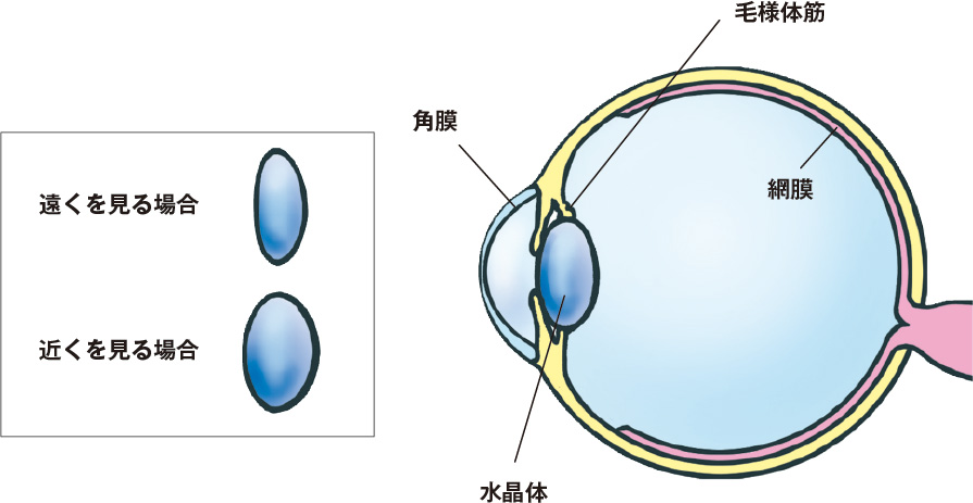 預防老花