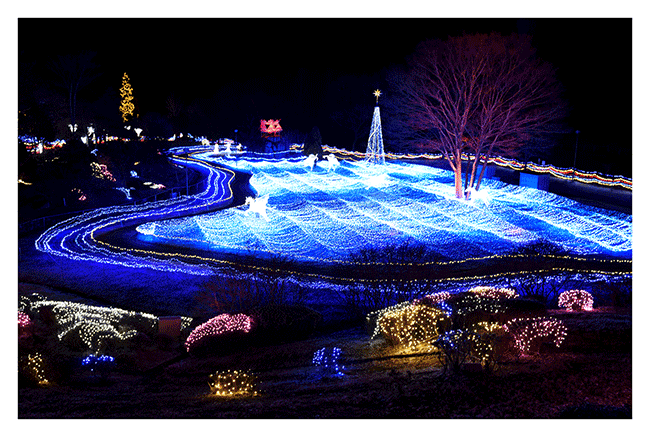 【玩樂京都】 京都最大級燈會——京都燈雪節(京都イルミエール)