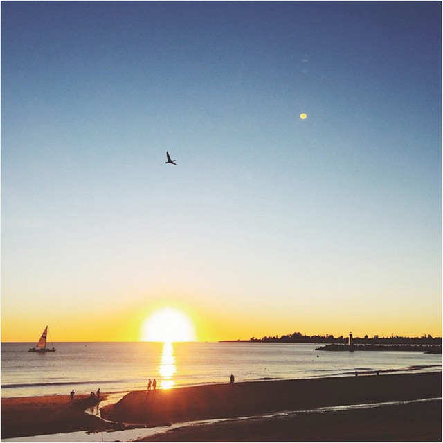 本店位於美國・加州的聖塔克魯茲的人氣咖啡烘豆店・VERVE COFFEE ROASTERS即將開幕