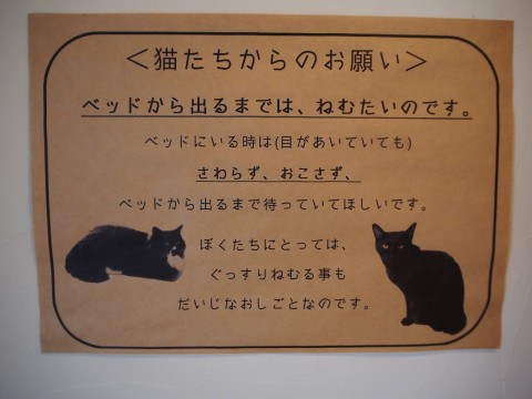 貓咪咖啡廳