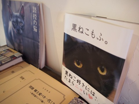 貓咪咖啡廳