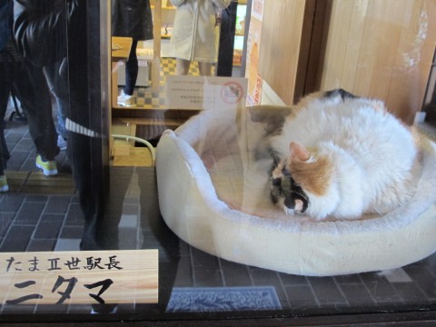 和歌山電鐵