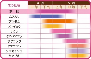 2016富士芝桜まつり