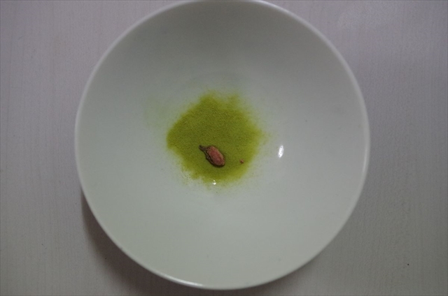 日本伴手禮 茶