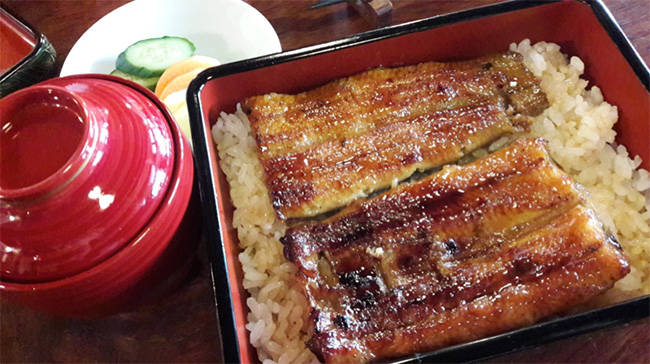 來「小江戶」川越的必吃美食!百年鰻魚飯老店「小川菊」食記