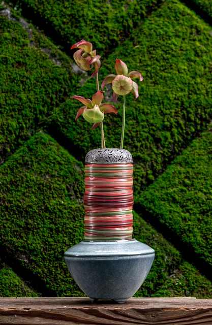 Nicolai Bergmann所帶來的展覽會「新花 -SHINKA-」於太宰府天滿宮等地舉行