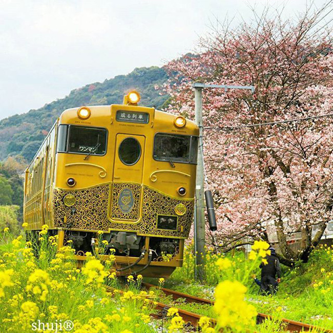 5大豪華鐵道