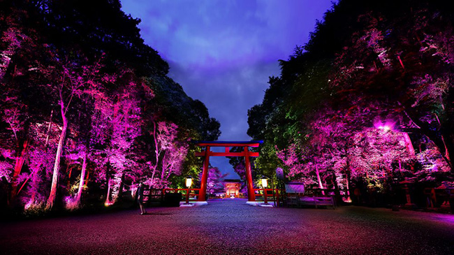 超夢幻的京都「下鴨神社」光之祭典!8/17~8/31免費入場