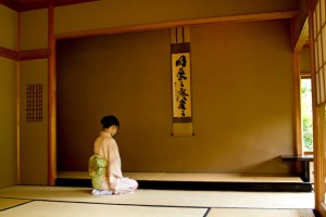 N784_kakejikunomaedeseizasurumiboujin