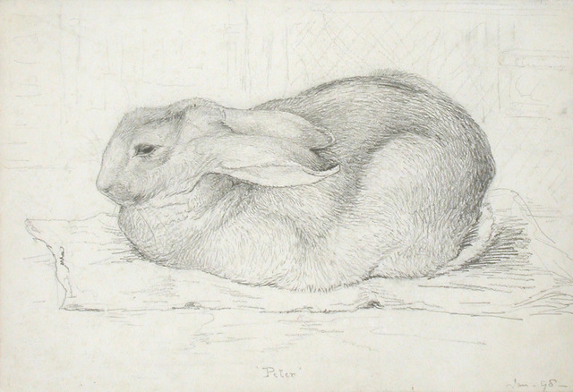 ビアトリクス・ポター 《素描「ピーターラビット」》英国ナショナル・トラスト所蔵