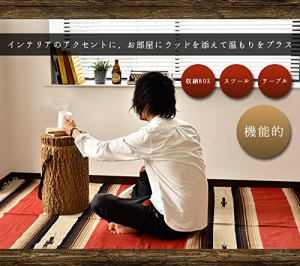 WISCONSIN PRODUCT Wood Chair クーラーボックス