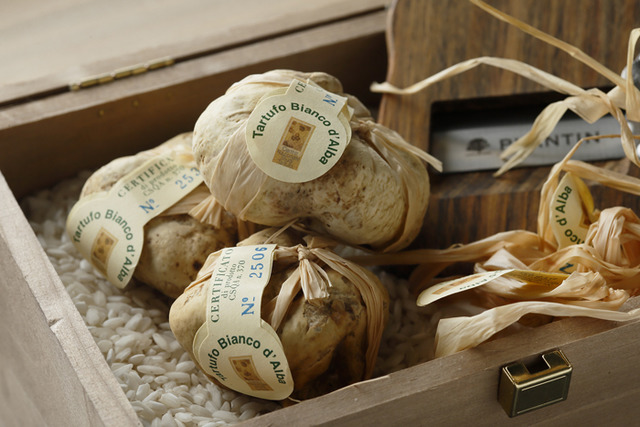 CROWN的特別全餐「La Truffe Blanche d'Alba ~白松露套餐~」 (3萬5,000日圓)